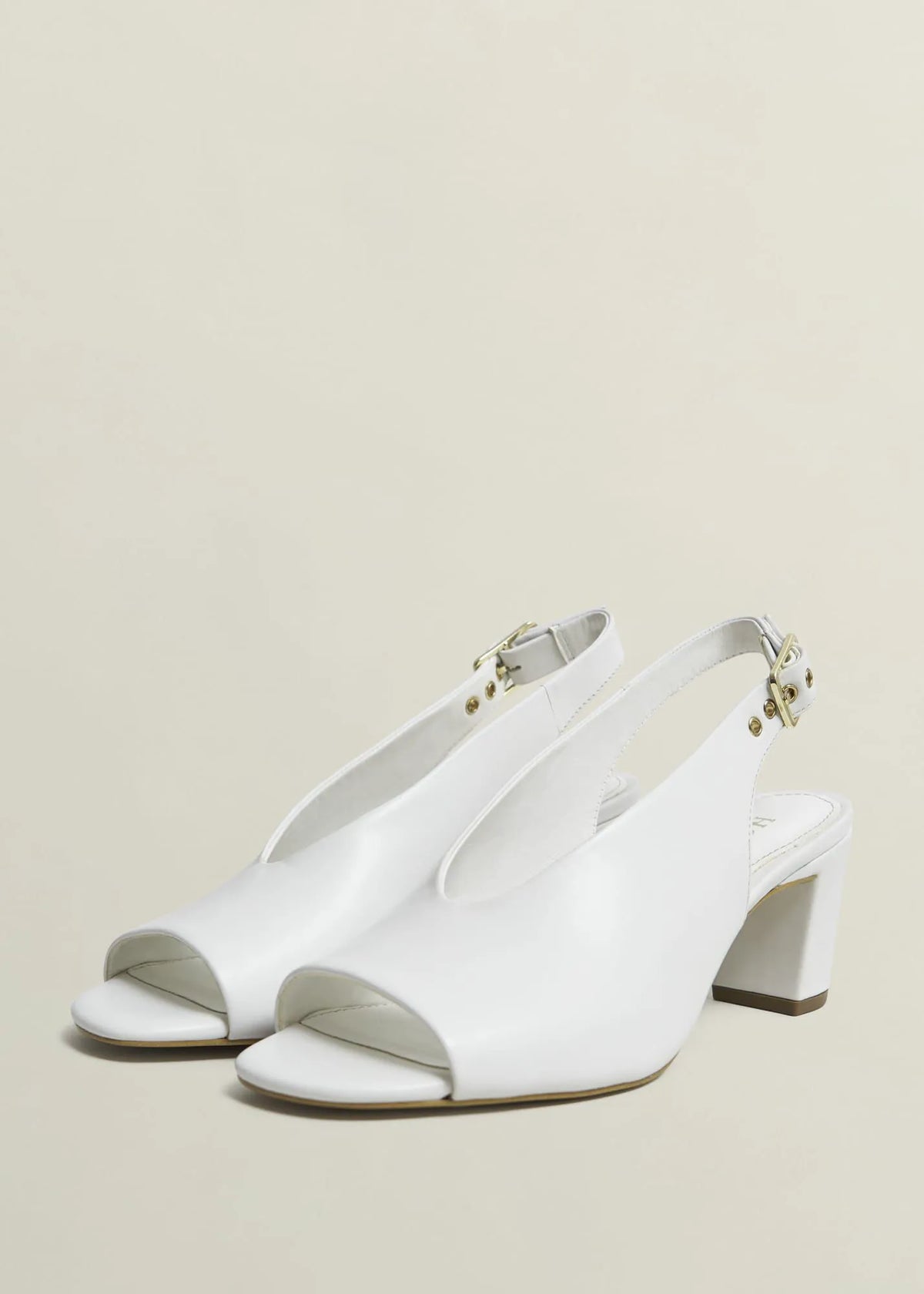 Ivory