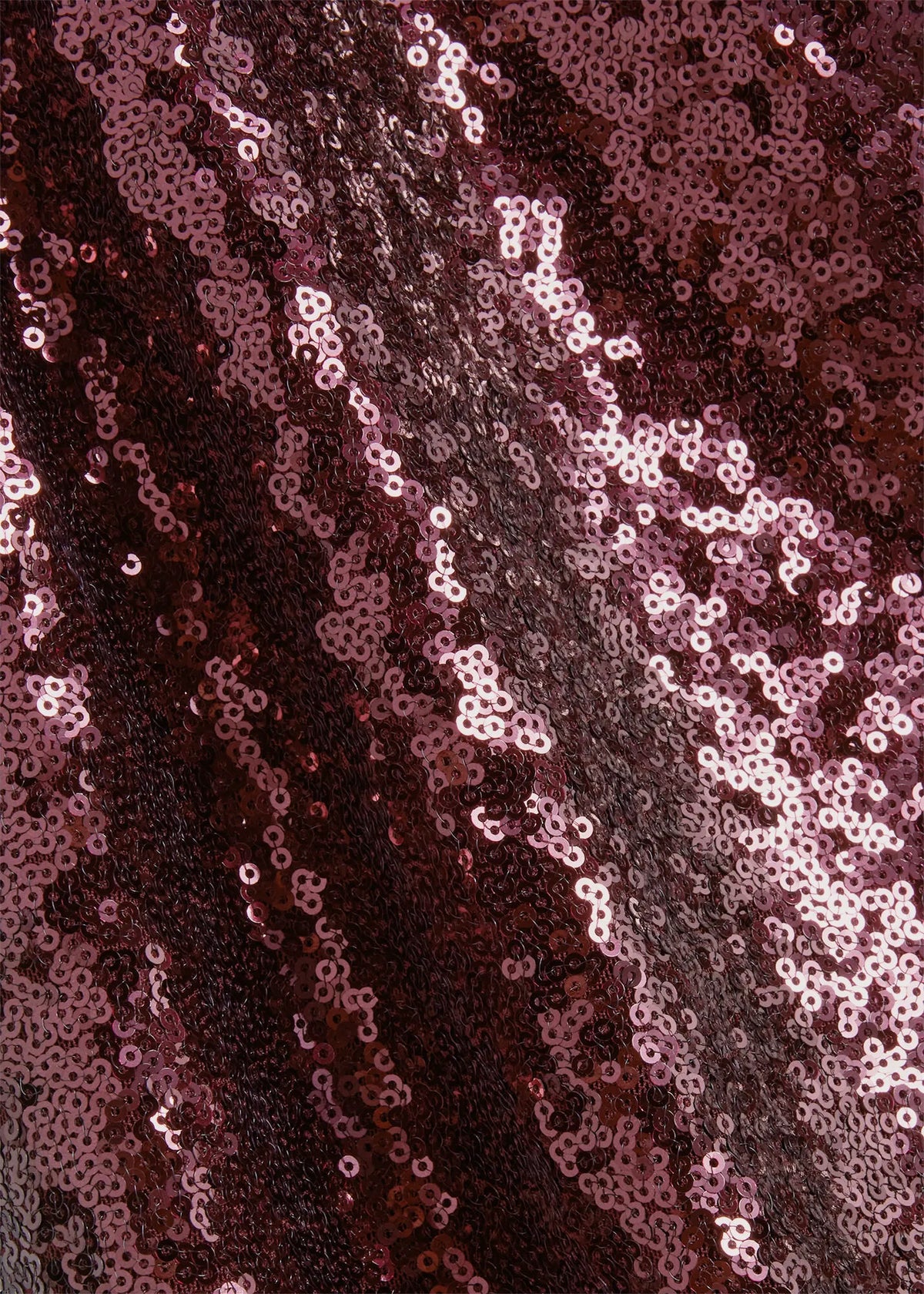 Fig Purple