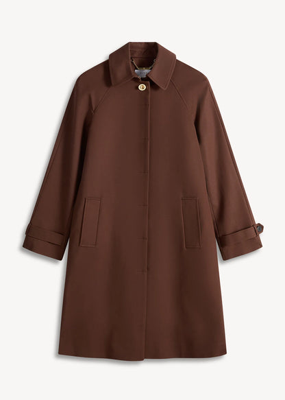 Chicory Brown