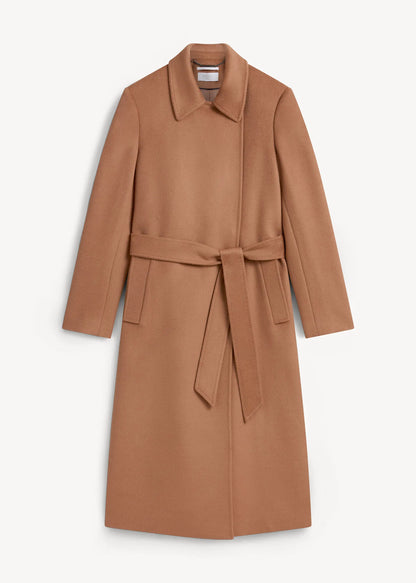 Dark Camel