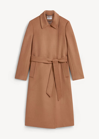 Dark Camel