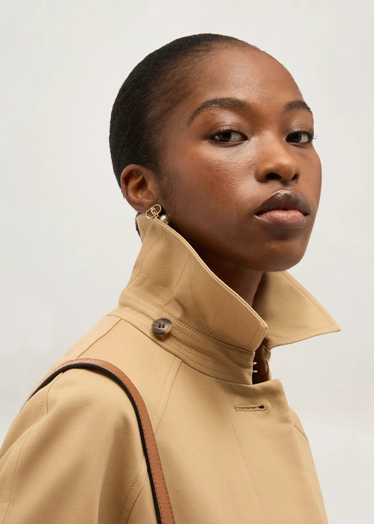Fawn Beige