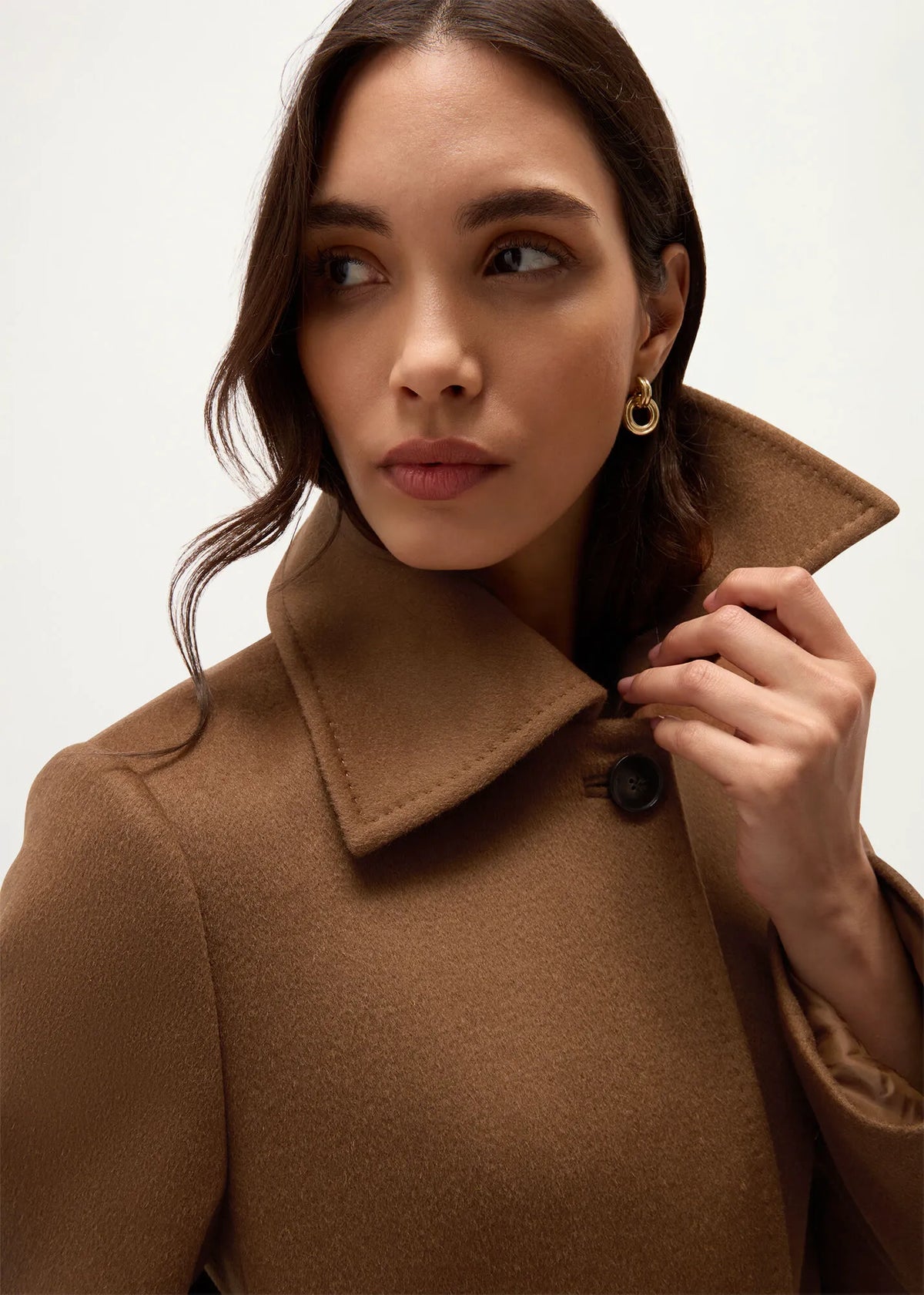 Vicuna