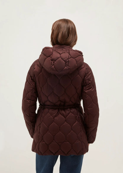 Deep Brown