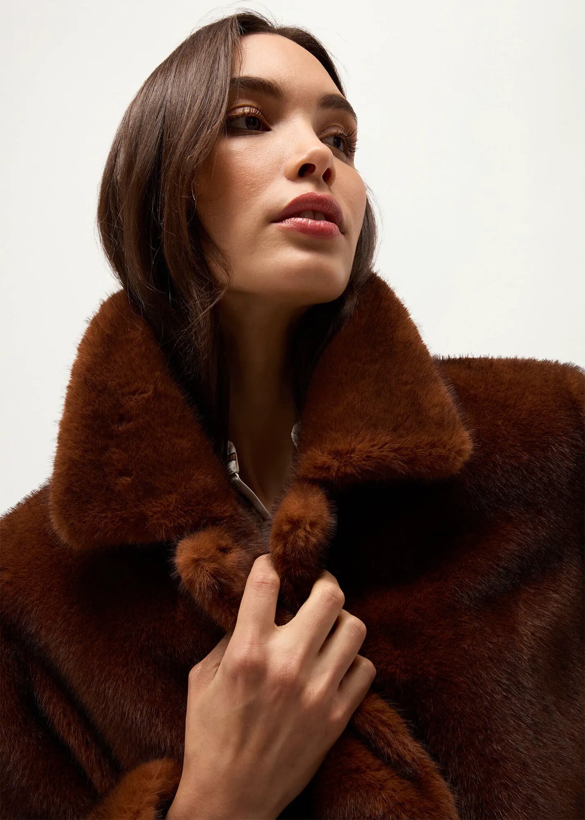 Camel Brown