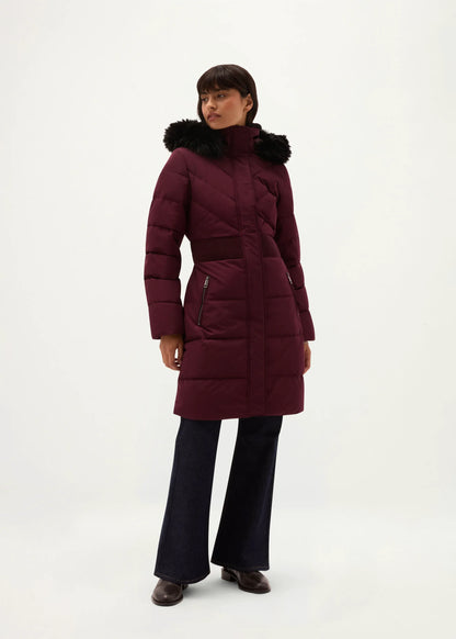 Fig Purple