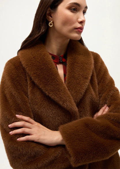 Dark Camel