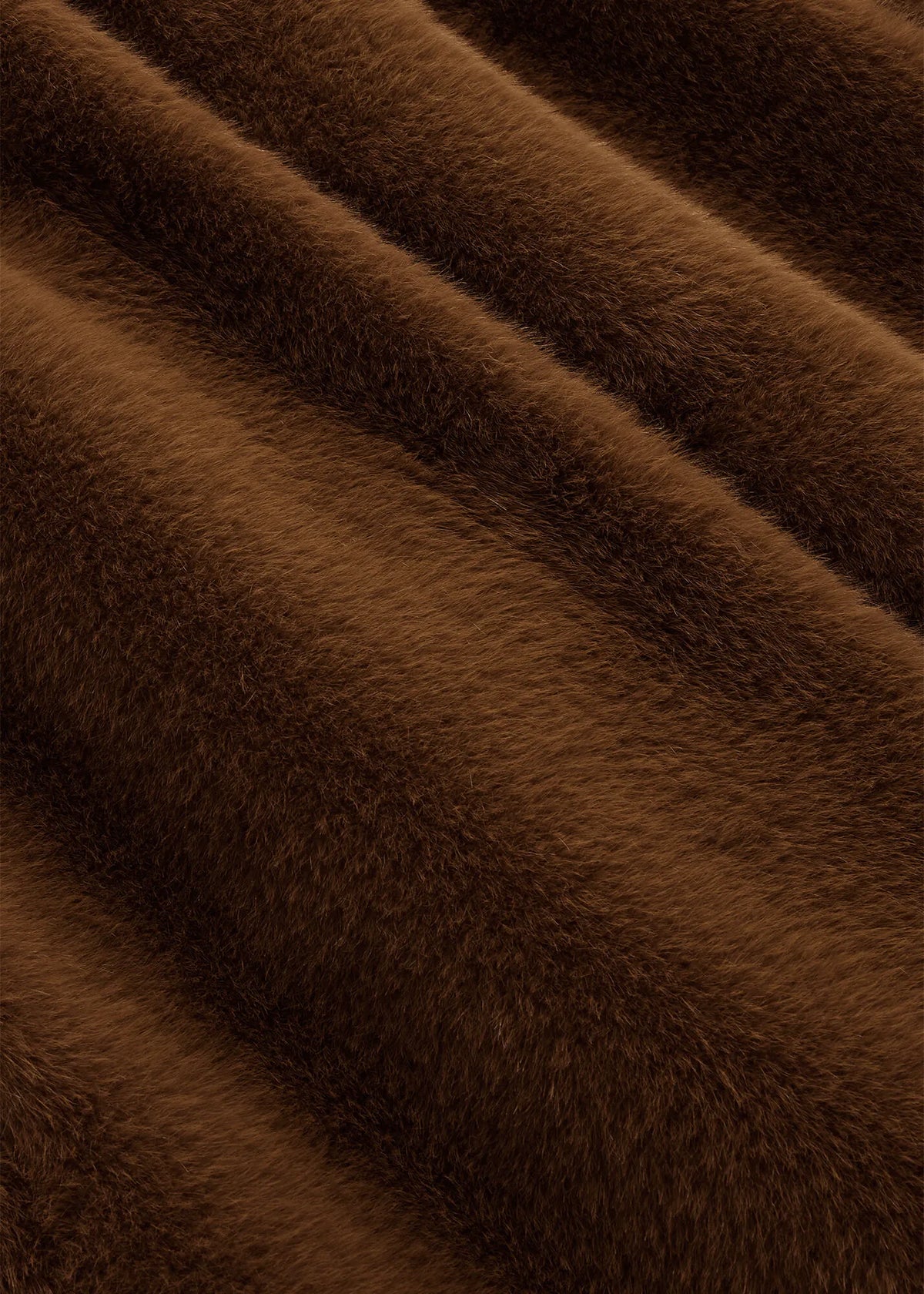 Dark Camel