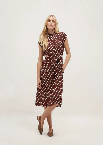 Brown Ivory