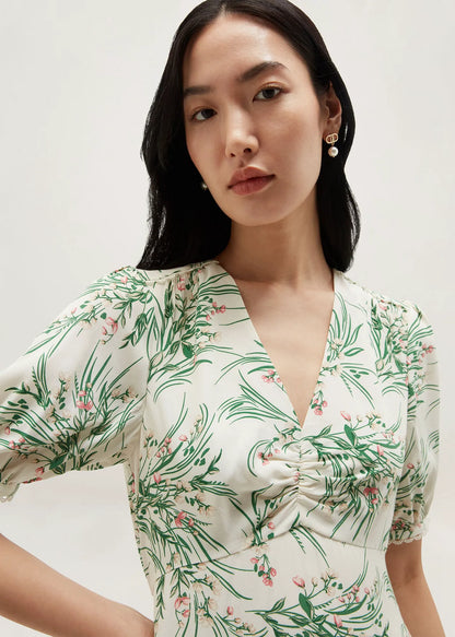 Ivory Multi