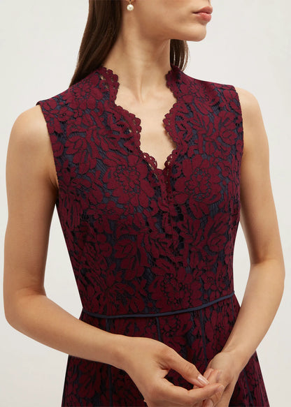 Plum Midnight