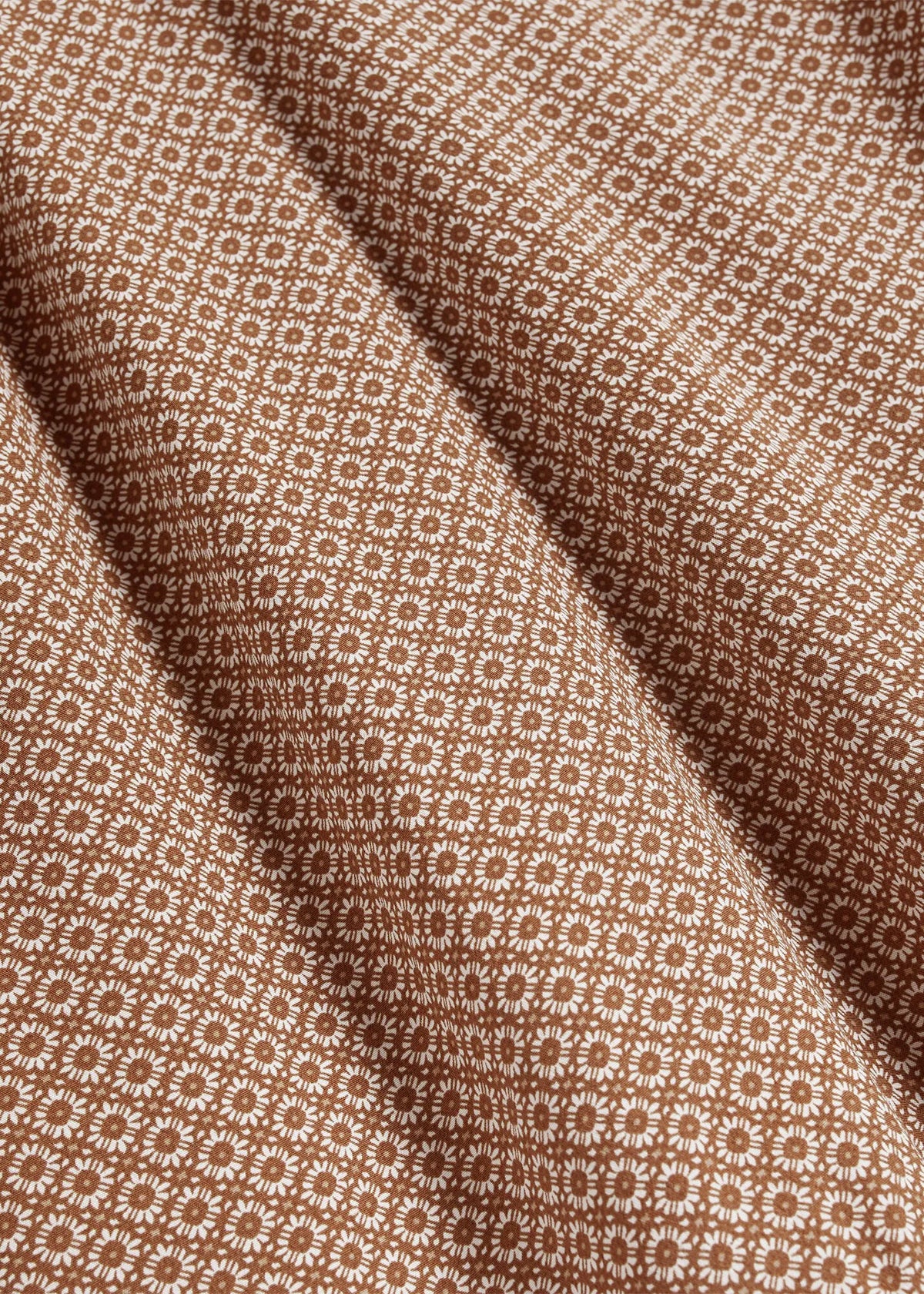 Vicuna Ivory