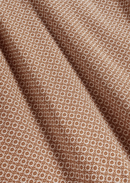 Vicuna Ivory