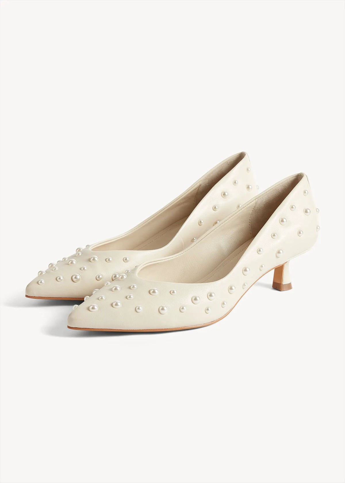 Warm Ivory