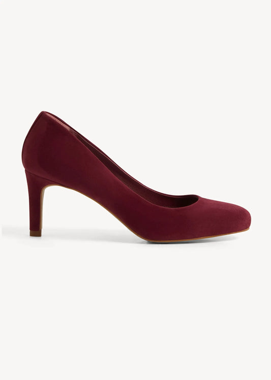 Warm Plum