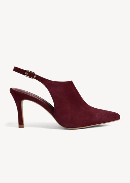 Warm Plum