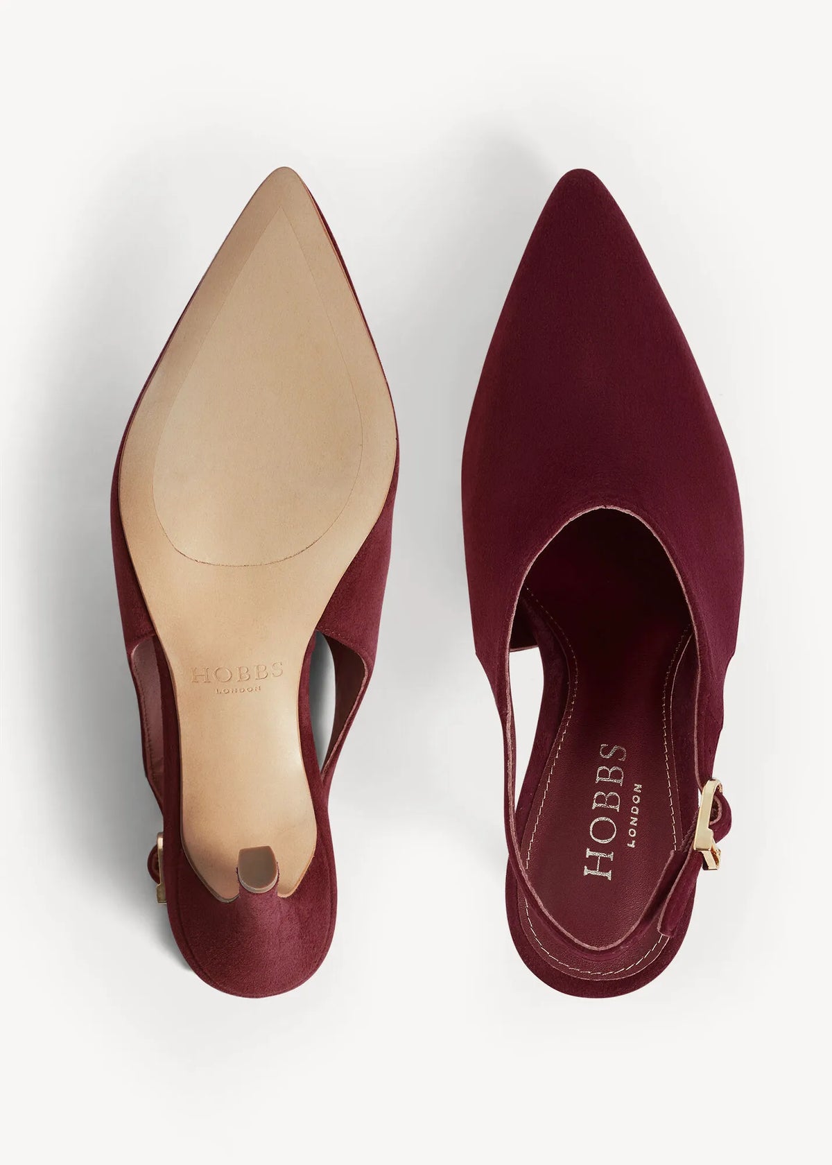 Warm Plum