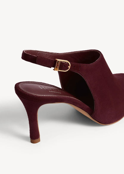Warm Plum