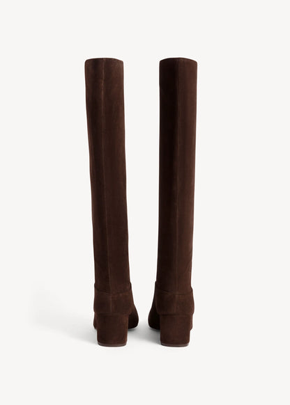 Alder Brown